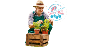 Trabajos de jardinería. trabajos de jardinero en Panamá - Yayas y Nanas Panamá